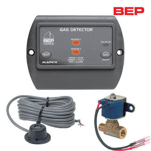 รูปภาพของ BEP Gas Detectors