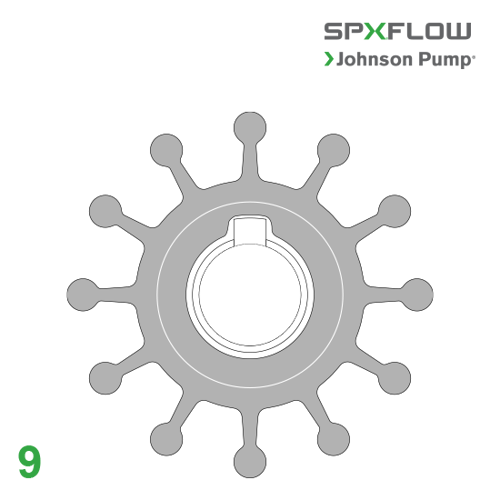 รูปภาพของ SPX Johnson Impeller Kit F5 Neoprene