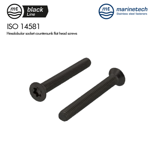 Picture of BlackLine ISO 14581 A4 Hexalobular Socket Countersunk Flat Head Screws Packs