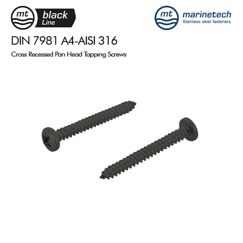 Picture of BlackLine DIN 7981 A4-AISI 316 Cross Recessedd Pan Head Tapping Screws